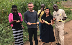 Interns and enumerators smiling and holding maize on a farm in Uganda