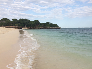 The coastline and a nice beach