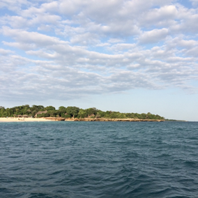 the beach from a ship